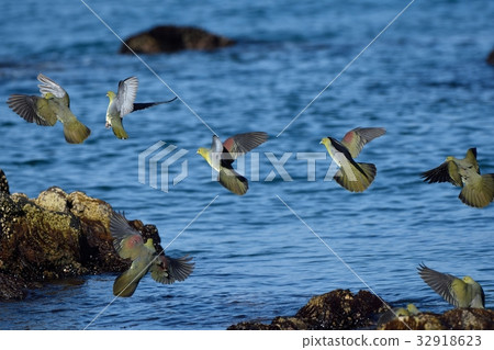 Aobato's flapping 32918623