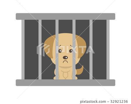 Pet problem Pet problem 32921236