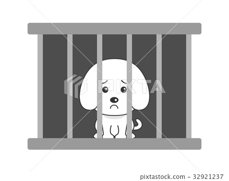 Pet problem 32921237
