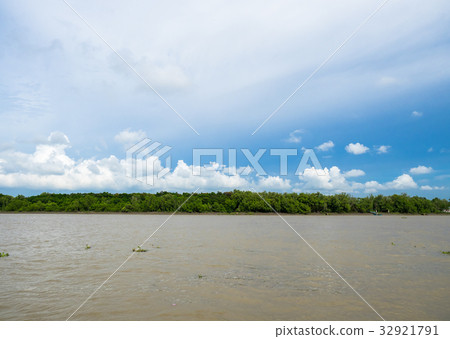 Blue sky and green forest Blue sky and green forest 32921791