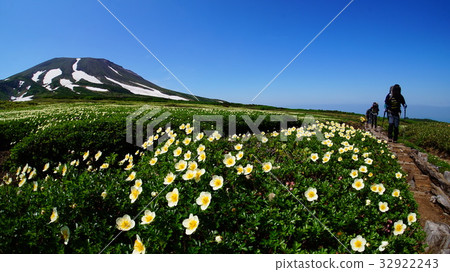 Taisetsuzan Heapingira 32922243