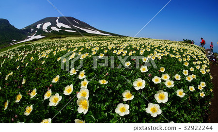 Taisetsuzan Heapingira 32922244