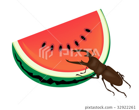 雄鹿甲蟲 32922261