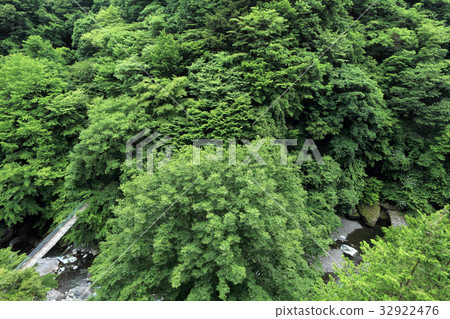 Arakawa Source River和Kawamata Suspension Bridge 32922476