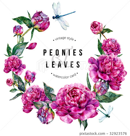 Fuchsia Peonies and Dragonflies Watercolor Wreath - Stock Illustration ...