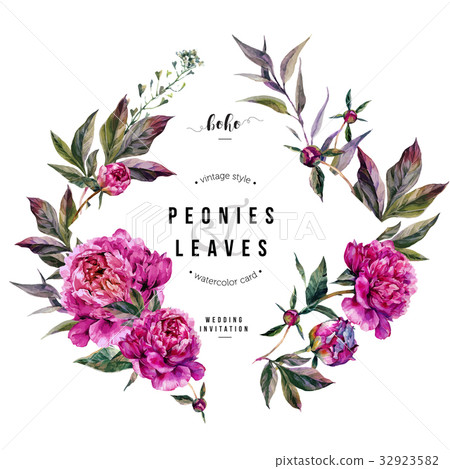 Fuchsia Peonies Greeting Card - Stock Illustration [32923582] - PIXTA