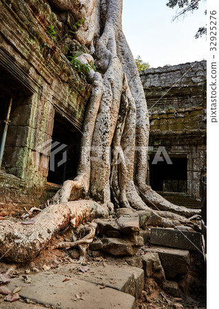 Taupo, Siem Reap, Cambodia 32925276