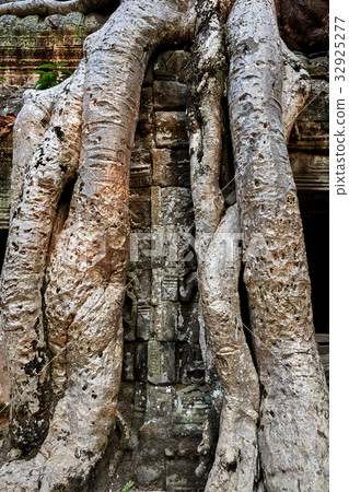 Taupo, Siem Reap, Cambodia 32925277