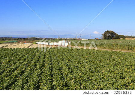 Rural scenery (Kanagawa Prefecture, Miura Peninsula, field, winter edition) Rural scenery (Kanagawa Prefecture, Miura Peninsula, field, winter edition) 32926382