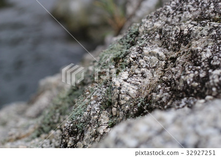 Rough rough skin 32927251