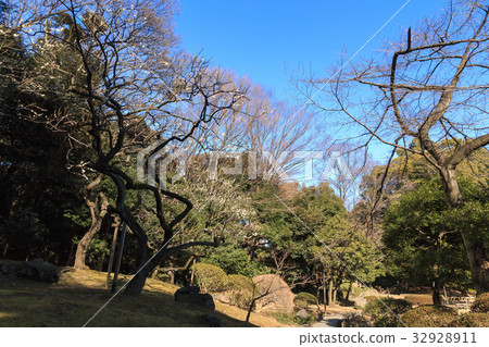 Urban scenery (Tokyo, Korakuen, winter edition) 32928911