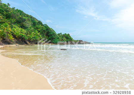 Amazing green nature at the Itacarezinho beach Amazing green nature at the Itacarezinho beach 32928938