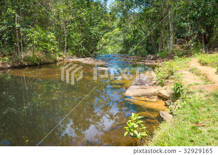 Nature with waterfall and stream in Itacare Nature with waterfall and stream in Itacare 32929165