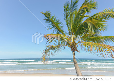 impressive paradise beach at Itacare Bahia Brazil impressive paradise beach at Itacare Bahia Brazil 32929292