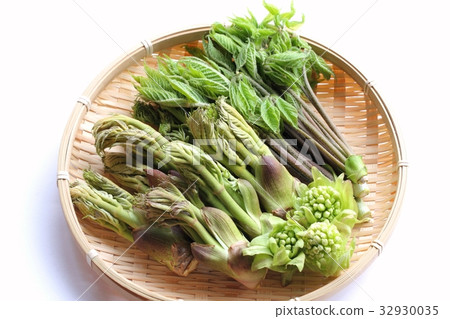 野生蔬菜拼盤（鱈魚芽，coppi-bra，Fuchinotto） 32930035