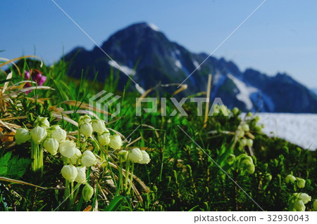 Kengake in the summer 32930043