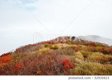 Daecheong-bong, Soraksan, Gangwon-do, Korea 32930823