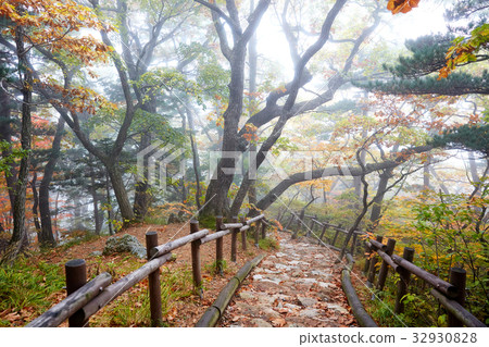 Sorak Mountain, Gangwon Province, Korea Sorak Mountain, Gangwon Province, Korea 32930828