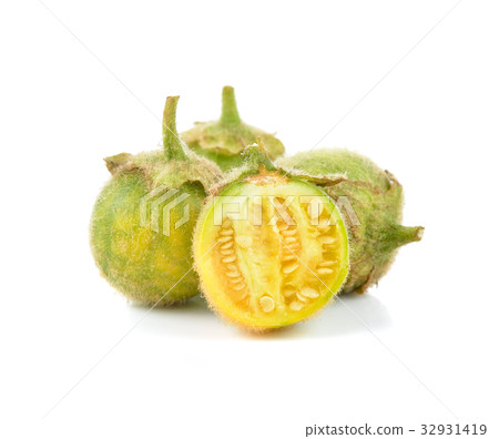 Solanum ferox isolated on white background Solanum ferox isolated on white background 32931419