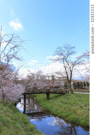 鄉村風景（山梨縣，野村野野，櫻花版） 32931513