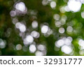 Abstract nature blur 32931777
