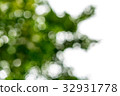 Abstract nature blur 32931778
