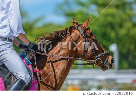 Riding scenery 32932016