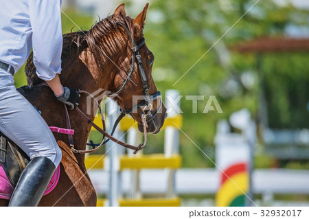 Riding scenery Riding scenery 32932017