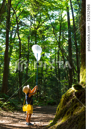 男孩3歲孩子在森林裡 32932966