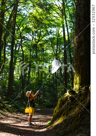 男孩3歲孩子在森林裡 32932967