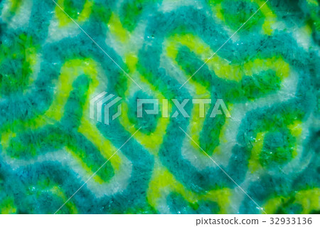 Abstract green pattern fabric texture Abstract green pattern fabric texture 32933136