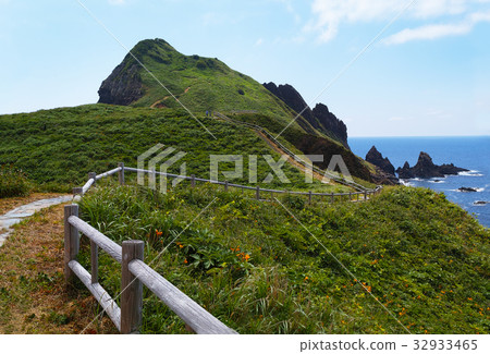 Ono Kame [佐渡甲府北部地質] 32933465