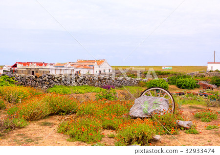 澎湖古厝 32933474