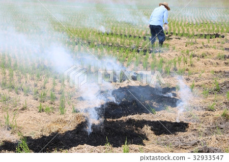 Baking Karita Whole Body Back Right Back Baking Karita Whole Body Back Right Back 32933547