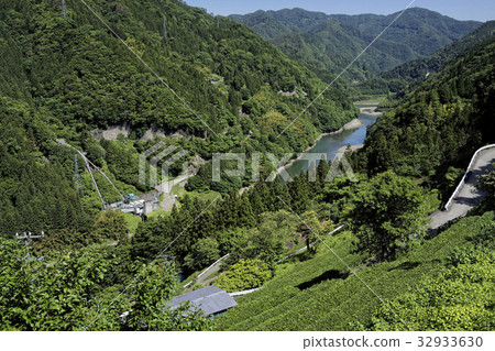 Tenryu河和茶園 Tenryu河和茶園 32933630