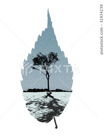 在zelkova葉子的雪場面 32934239