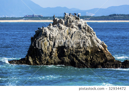 紫菜和珊瑚礁 紫菜和珊瑚礁 32934472