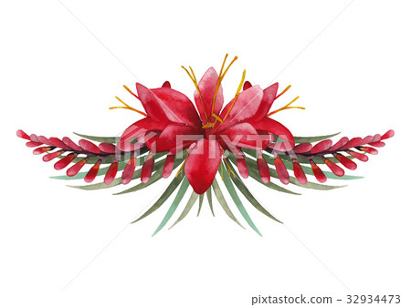 Watercolor crocosmia vignette Watercolor crocosmia vignette 32934473