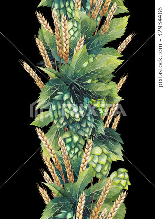 Watercolor hop and malt 32934486