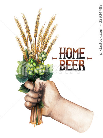 Watercolor hand with malt bunch 32934488
