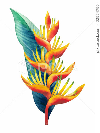 Watercolor heliconia bouquet 32934796