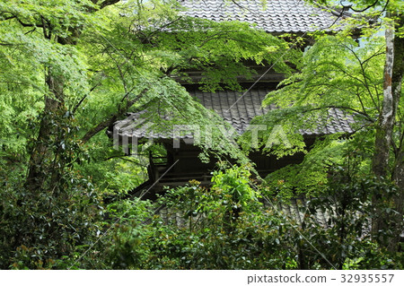 A verdant pagoda of Takagenji 32935557
