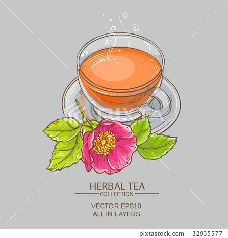 cup of dog rose tea 32935577