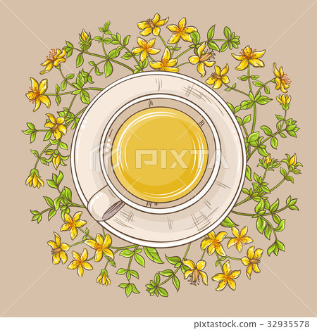 cup of tutsan tea  32935578