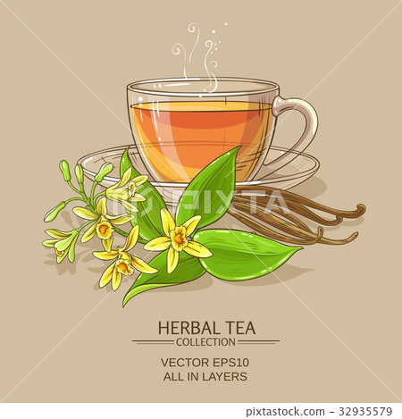 vanilla tea illustration vanilla tea illustration 32935579