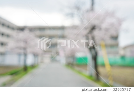Image photograph of spring, cherry blossoms, entrance ceremony, graduation ceremony, elementary school, junior high school Image photograph of spring, cherry blossoms, entrance ceremony, graduation ceremony, elementary school, junior high school 32935757