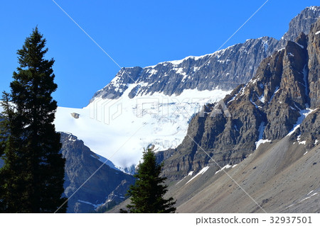 Landscape from the Canadian Rockies Bow Lake 32937501