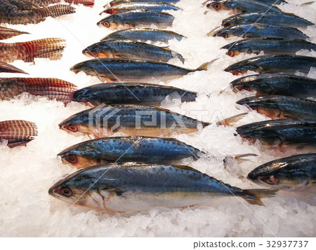 Fish market, Food Fish market, Food 32937737