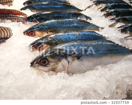 Fish market, Food 32937739