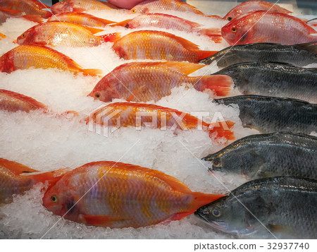 Fish market, Food Fish market, Food 32937740